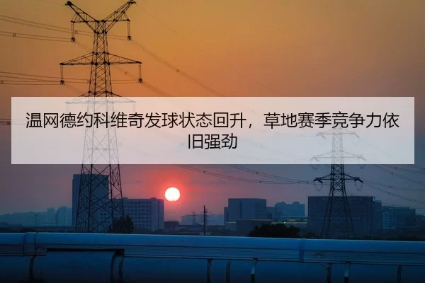温网德约科维奇发球状态回升，草地赛季竞争力依旧强劲