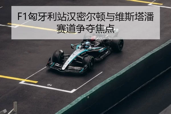 xiong-ya-li-zhan-han-mi-er-dun-yu-wei-si-ta-pan-sai-dao-zheng-duo-jiao-dian-3-259.jpg