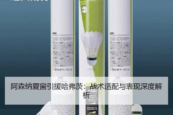 阿森纳夏窗引援哈弗茨：战术适配与表现深度解析