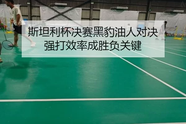 斯坦利杯决赛黑豹油人对决 强打效率成胜负关键